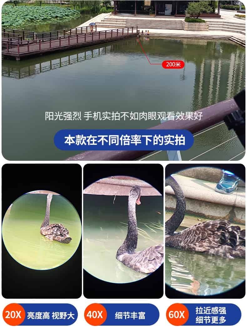 逐月20-6080ED图17.jpg