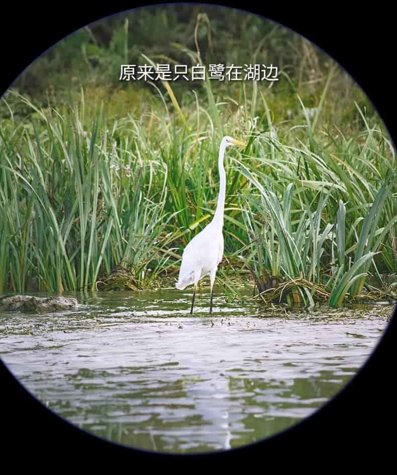 逐月20-6080ED图28.jpg